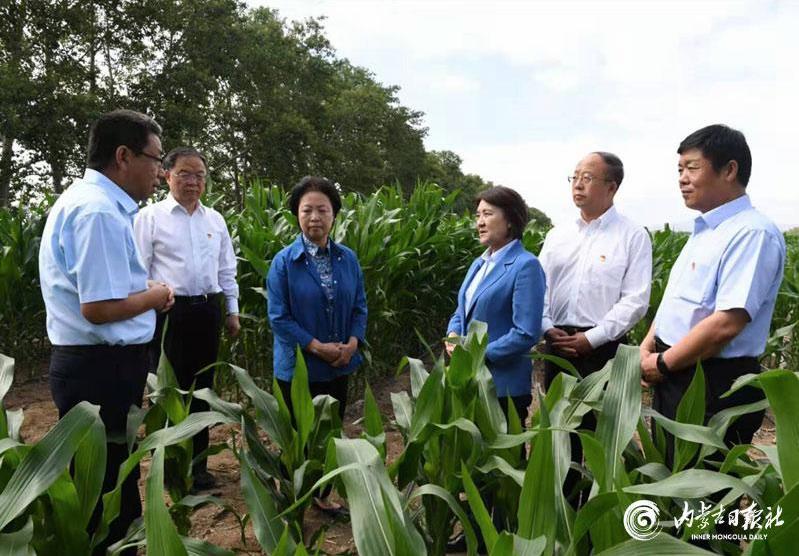 1562918296069058975.jpg 360截图20190712155655555.jpg