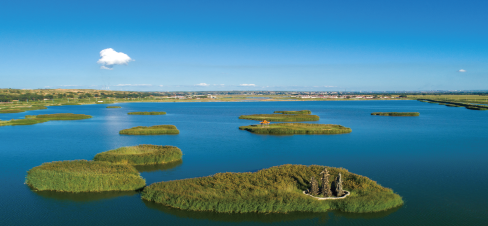 1614841378042024906.png image.png